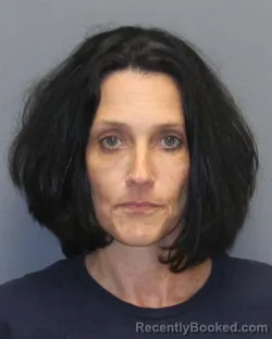 Mugshot of MELISSA WILLINGHAM LIMOGES booked in Winchester County, Virginia on June 4, 2026