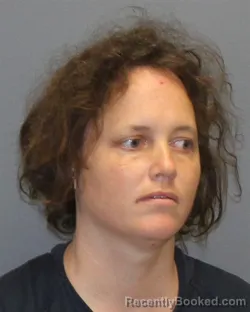 Mugshot of GRACE M HUDGINS booked in Winchester County, Virginia on June 12, 2026