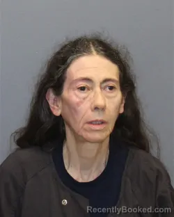 Mugshot of VICTORIA ANN WEBBER booked in Winchester County, Virginia on June 28, 2026