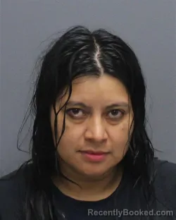 Mugshot of Marlenne Esmeralda Zelada Xol De Hernan booked in Winchester County, Virginia on July 31, 2026