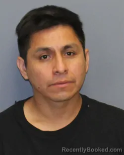 Mugshot of Felix Martin Perez Huertas booked in Winchester County, Virginia on August 6, 2026