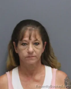 Mugshot of Brandy Michele Mcbride booked in Winchester County, Virginia on August 18, 2026