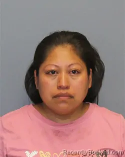 Mugshot of Antonia Castro-Gil booked in Winchester County, Virginia on August 18, 2026