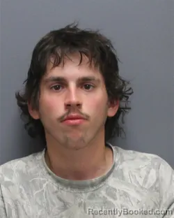Mugshot of Kevin Connor Malsch booked in Winchester County, Virginia on August 30, 2026