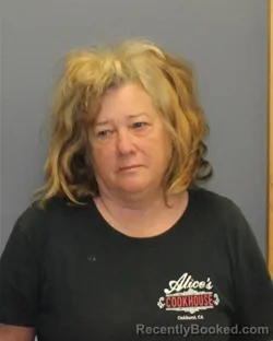 Mugshot of Nancy Chase Nunn booked in Winchester County, Virginia on September 6, 2026