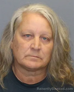 Crystal Code Name Crystal Ann Godwin Arrest Record | Winchester, VA