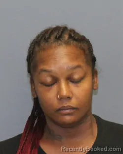 Mugshot of Jessica Lynn Sutphin booked in Winchester County, Virginia on October 20, 2026