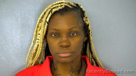 Mugshot of ASHLEY NICOLE COOKE booked in Williamsburg County, Virginia on July 7, 2026