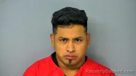 Mugshot of AMILCAR VICENTE FELICIANO CRUZ