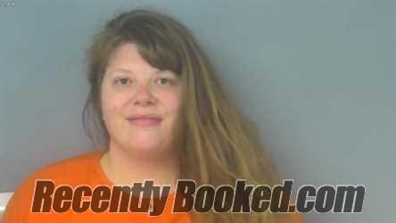 Booking photo from Williamsburg County, Virginia