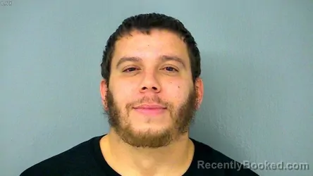 Mugshot of JOSE LUIS BORRERO-RAMOS