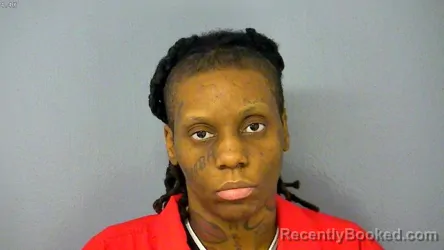 Mugshot of JOHANNA CHARLENE MARI SANDERS booked in Williamsburg County, Virginia on July 10, 2026