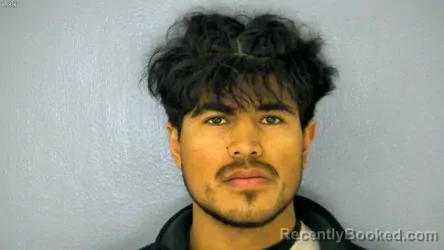 Mugshot of WILLIAM KENET TELLO MERIDA