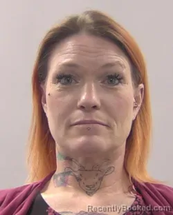 Mugshot of Rebecca Lynn Anderson