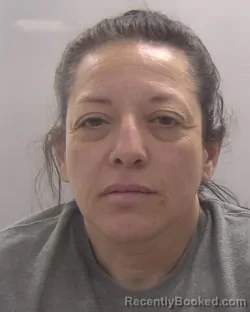 Mugshot of Melinda Jo Lawson