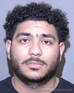 Mugshot of NICOLAS JOSE HERNANDEZ