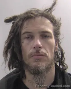 Mugshot of Alan Michael Sperling