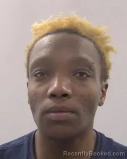 Mugshot of Lisa Nicole Gilchrist