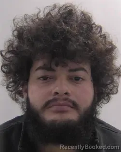 Mugshot of Kerlin Ayala Lainez