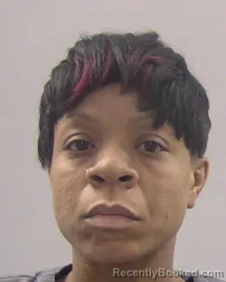 Mugshot of Monae Eyvonne Tyshala Freeman