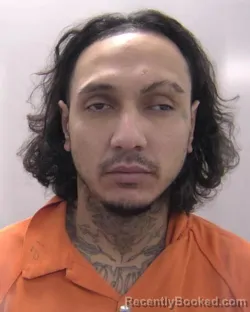 Mugshot of Leo Fernando Figueroa