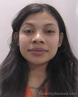 Mugshot of Ashly Ivett Alvarez-Obando