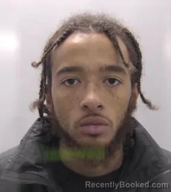 Mugshot of Dion Lee Matthews