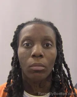 Mugshot of JOHANNA CHARLENE-MARIE SANDERS