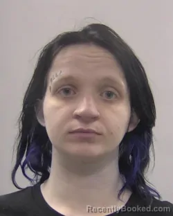 Booking photo from Chesapeake County, Virginia