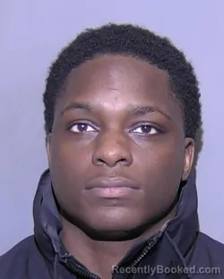 Mugshot of LAMONTRAL DEMAREA MCNEILL