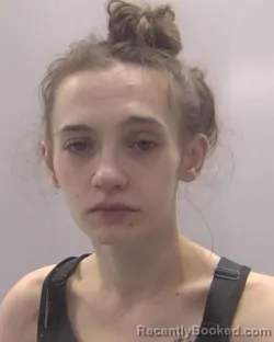 Mugshot of Adrienne Merritt