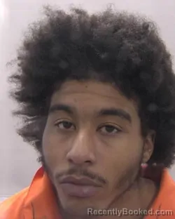 Booking photo from Chesapeake County, Virginia