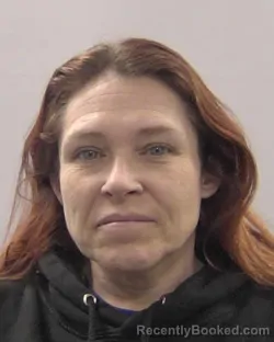 Mugshot of Dianna Lynn Ives