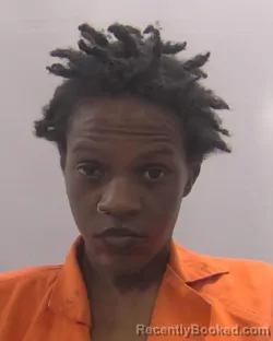 Mugshot of Verneka Lynnae Wiggins