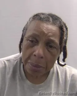 Mugshot of Wanda Renee Lomax