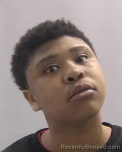 Mugshot of Ashanti Eley