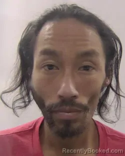 Mugshot of Tam The Huynh