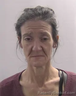 Mugshot of Tammy Austin-Plourde