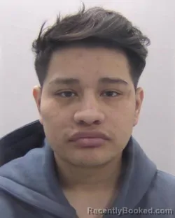 Mugshot of ANDERSON FERNANDO DIAZ DE PAZ