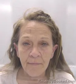 Mugshot of Teresa Diane Barham