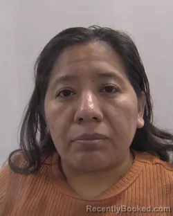 Mugshot of Aradeli Martinez-Castillejos booked in Chesapeake County, Virginia on April 3, 2026