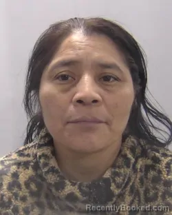 Mugshot of Juana Perez-Perez booked in Chesapeake County, Virginia on April 3, 2026