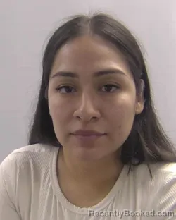 Mugshot of Sharon Ivette Tardio booked in Chesapeake County, Virginia on April 5, 2026