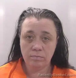 Mugshot of Amanda Jenette Hopson booked in Chesapeake County, Virginia on April 14, 2026