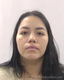 Mugshot of Diana Carolina Ramirez-Arias booked in Chesapeake County, Virginia on June 4, 2026