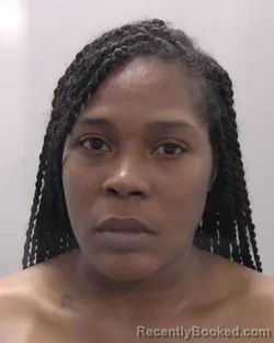 Mugshot of Eboni Leanay Perkins booked in Chesapeake County, Virginia on July 26, 2026