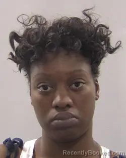 Mugshot of Kiara Sherelle Pinkins booked in Chesapeake County, Virginia on August 7, 2026