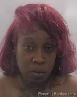 Mugshot of Chiquita Shanae Graham booked in Chesapeake County, Virginia on September 14, 2026