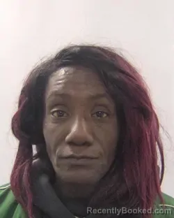 Mugshot of Kamilah Latrice Hill booked in Chesapeake County, Virginia on October 21, 2026