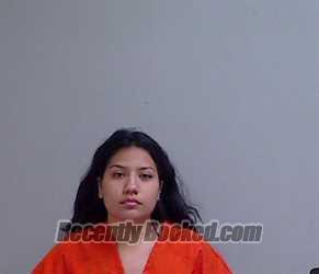Booking photo from Hidalgo County, Texas
